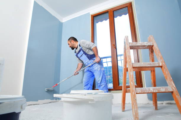 Trusted Mount Pleasant, MI Mold Removal Experts