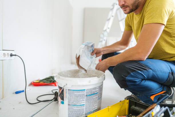 Best Mold Remediation for Healthcare Facilities  in Mount Pleasant, MI