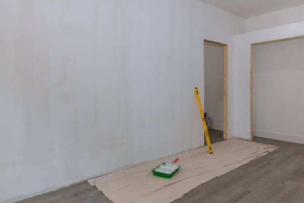 Best Forensic Mold Investigation  in Mount Pleasant, MI