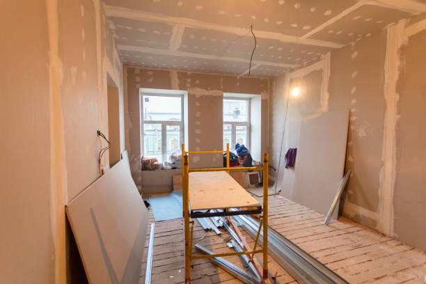 Best Environmental Consulting for Mold Prevention  in Mount Pleasant, MI